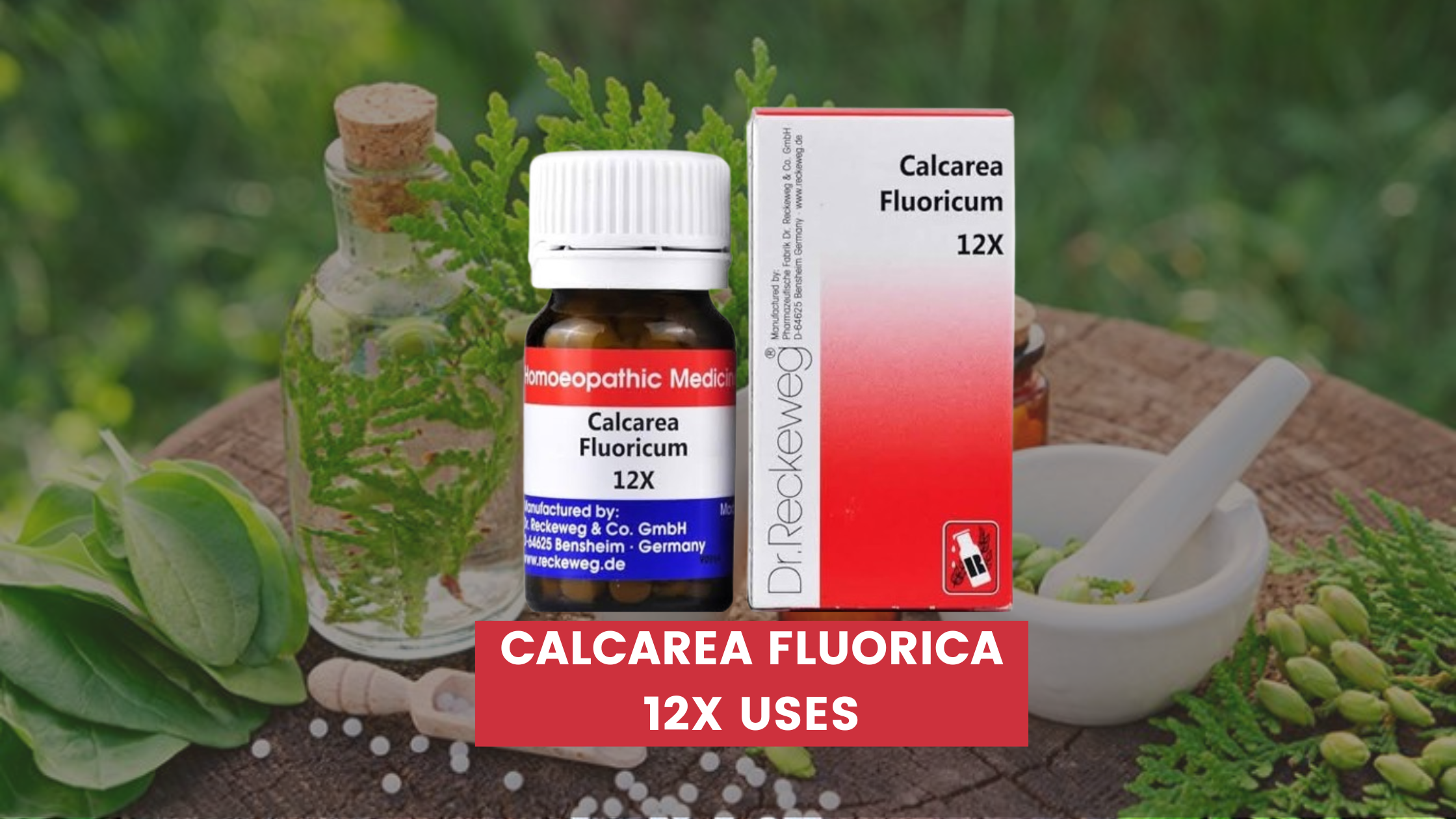 Calcarea Fluorica 12x Uses In Hindi