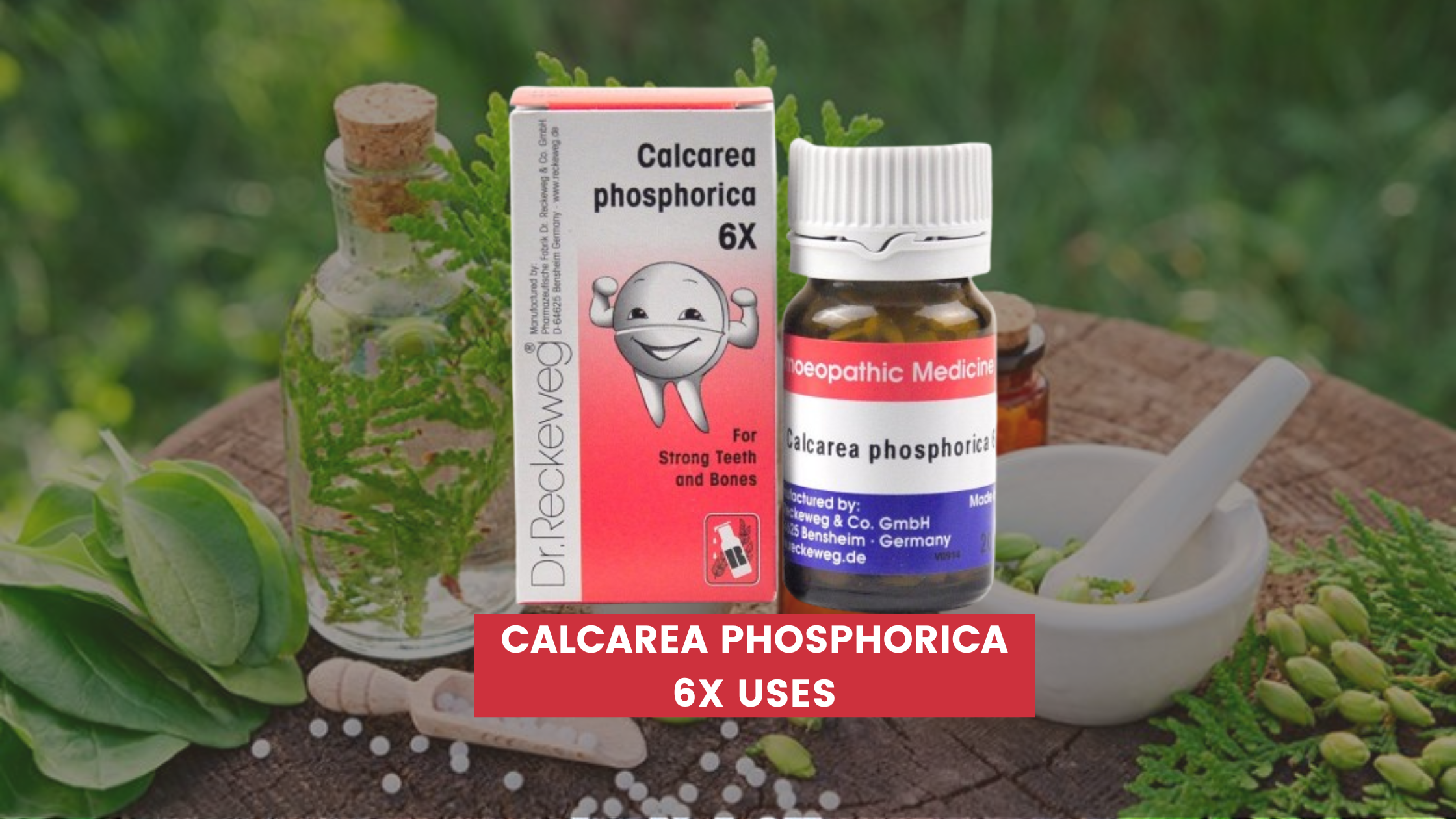 Calcarea Phosphorica 6x Uses In Hindi