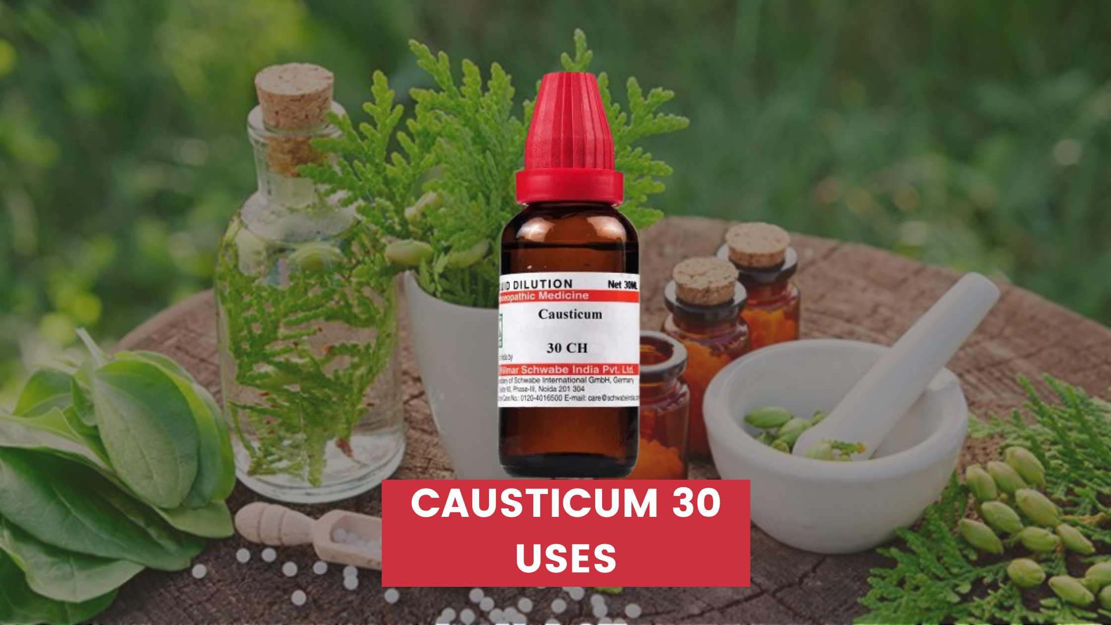 Causticum 30 Uses In Hindi