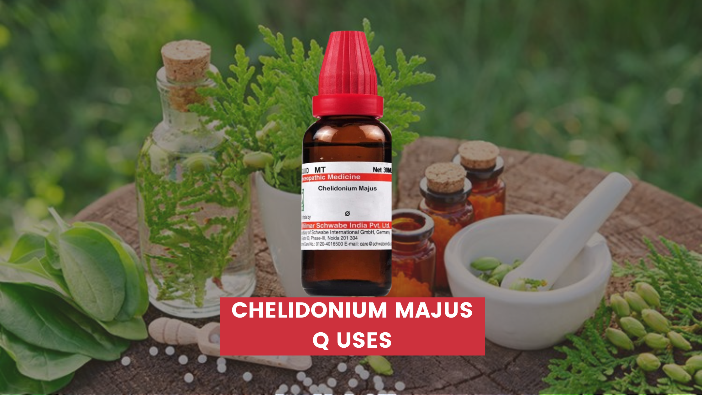 Chelidonium Majus Q Uses In Hindi