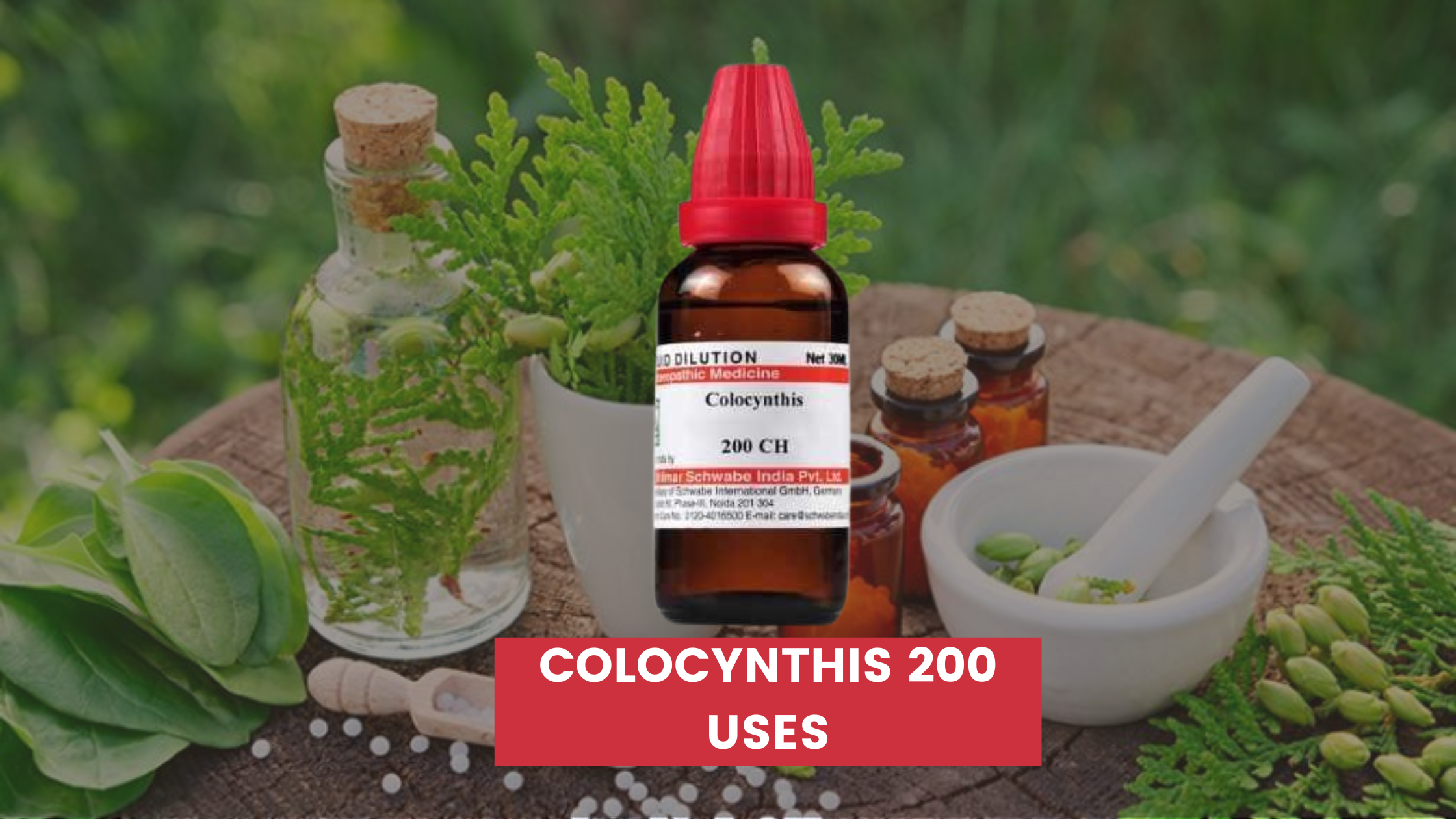 Colocynthis 200 Uses In Hindi