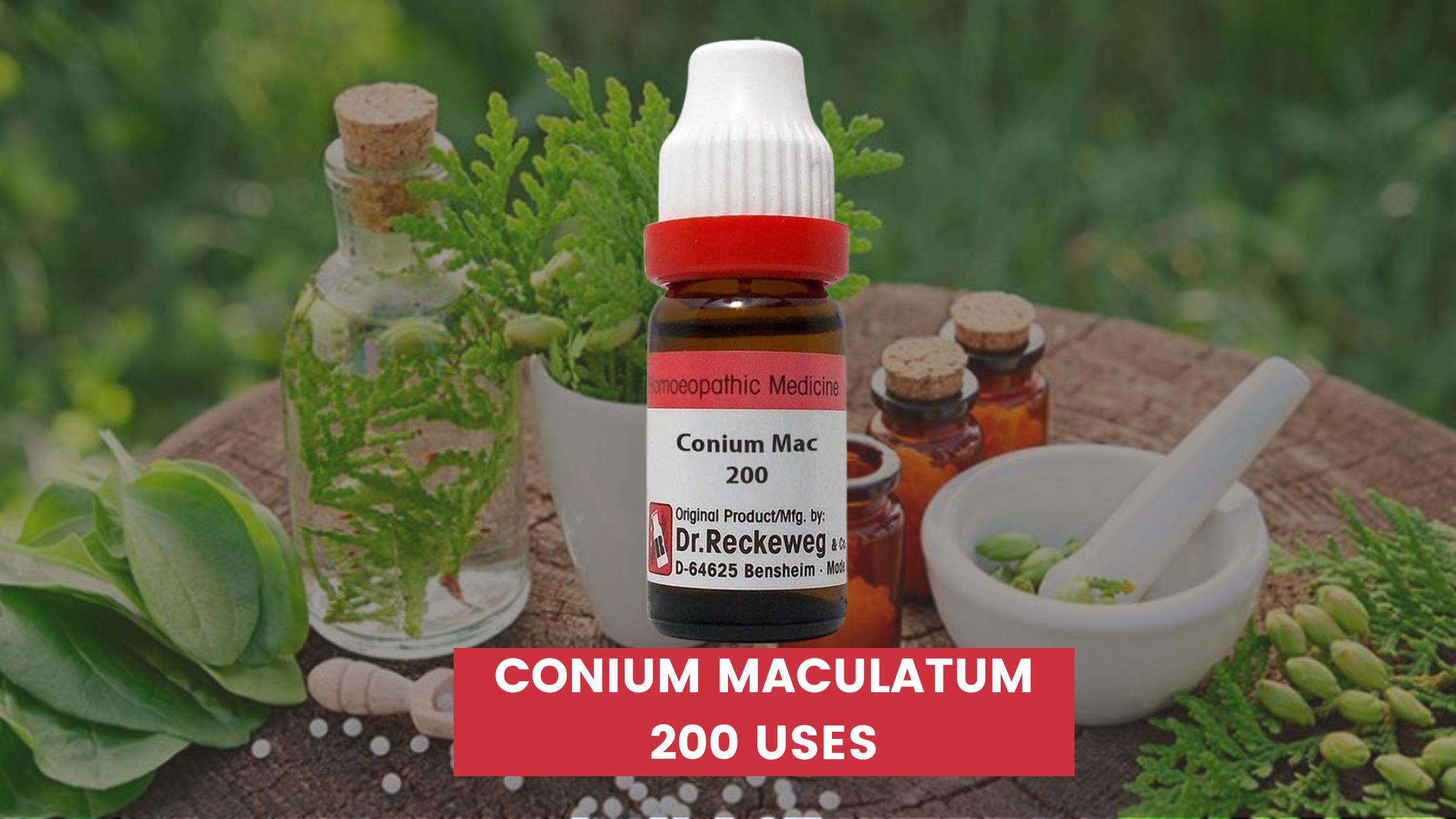 Conium Maculatum 200 Uses In Hindi