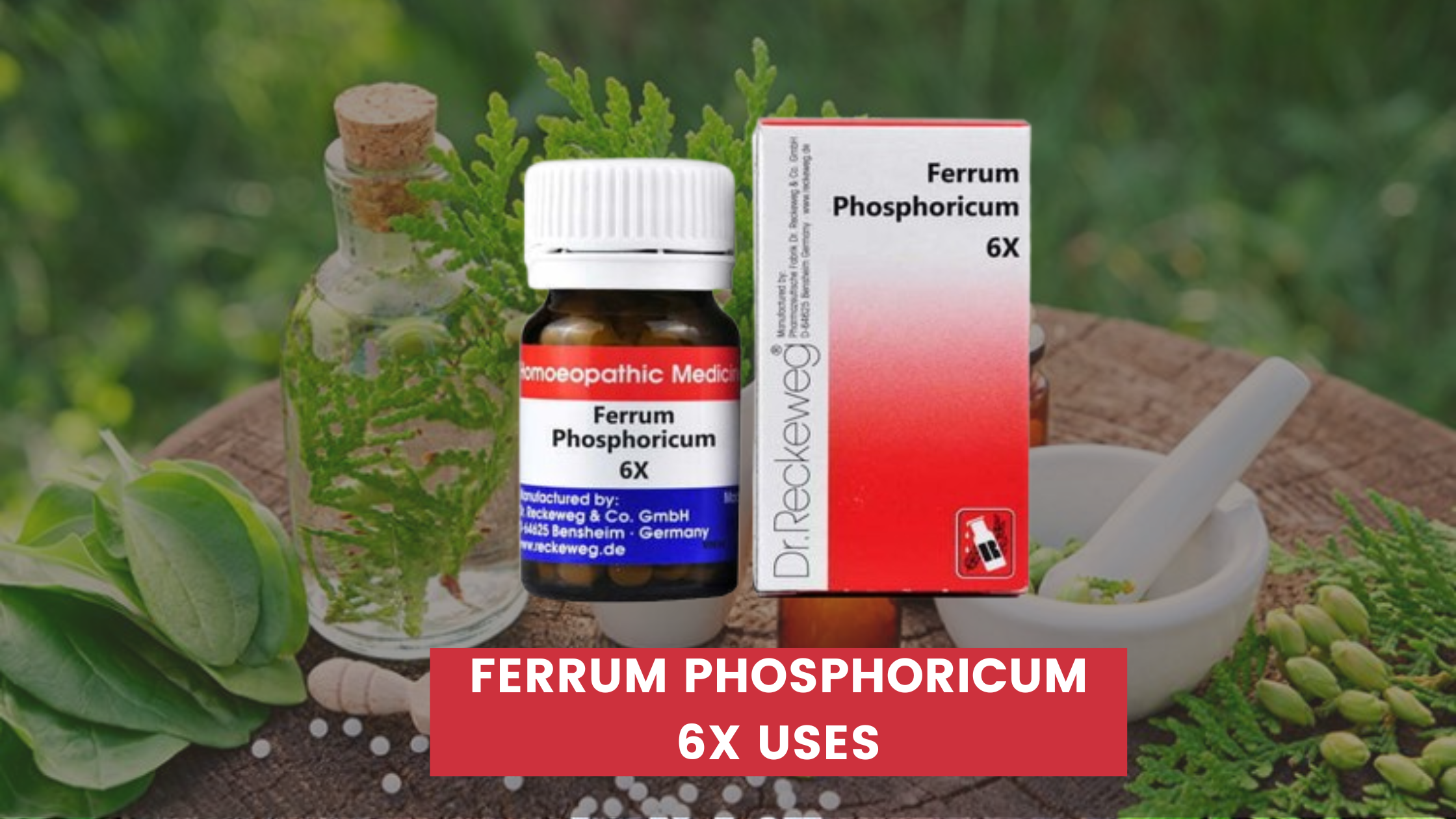 Ferrum Phosphoricum 6x Uses In Hindi