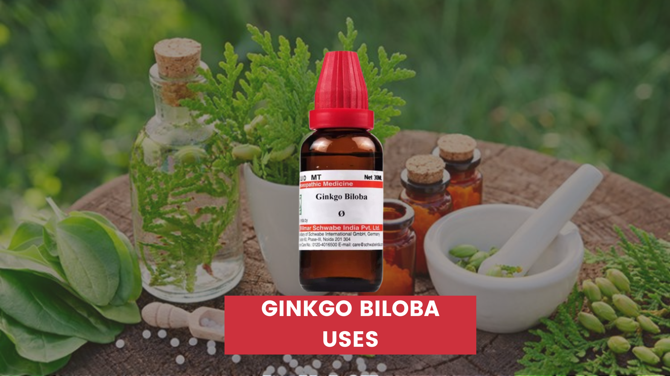 Ginkgo Biloba Uses In Hindi