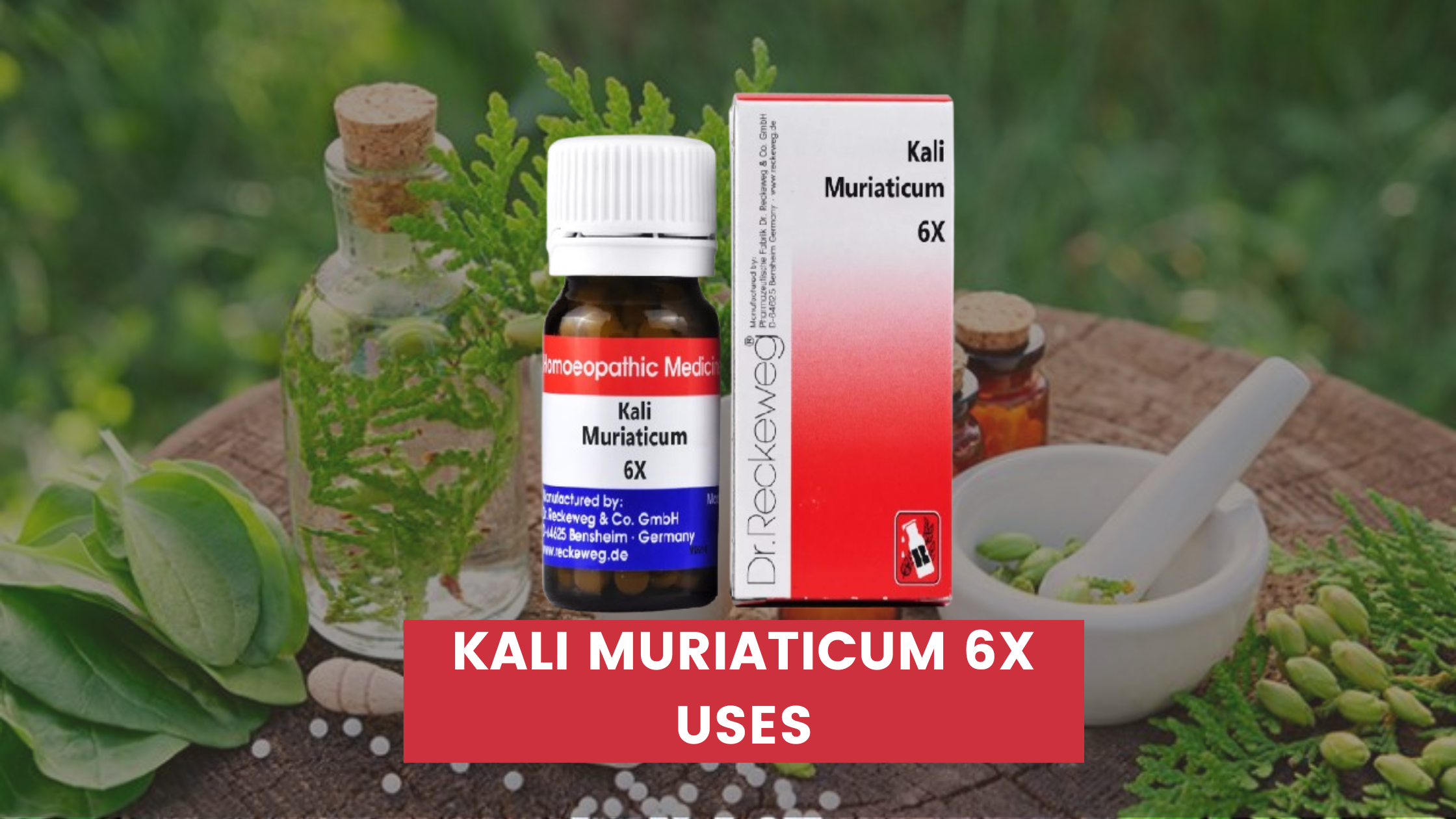 Kali Muriaticum 6x Uses