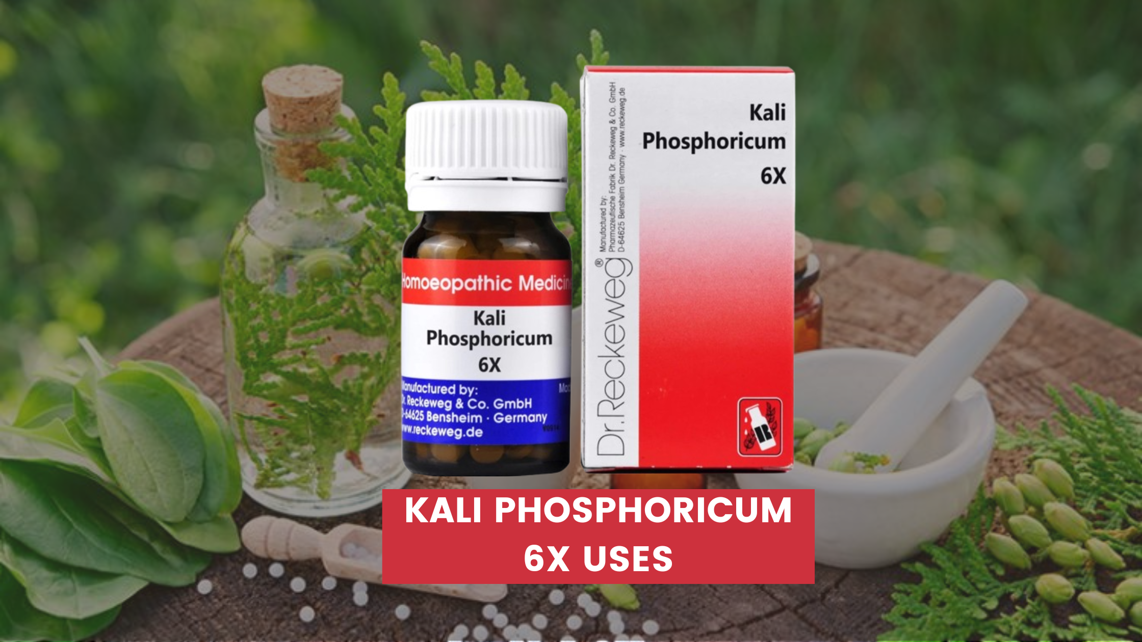 Kali Phosphoricum 6x Uses In Hindi