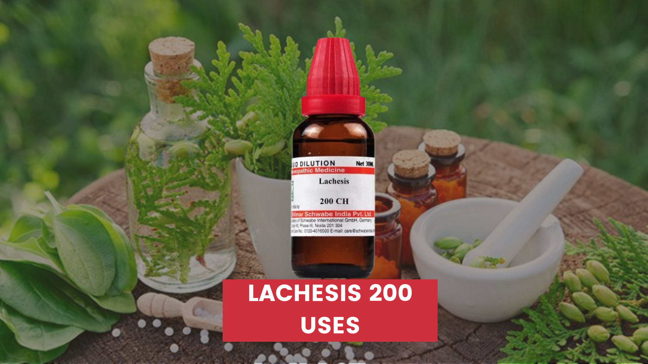 Lachesis 200 Uses In Hindi