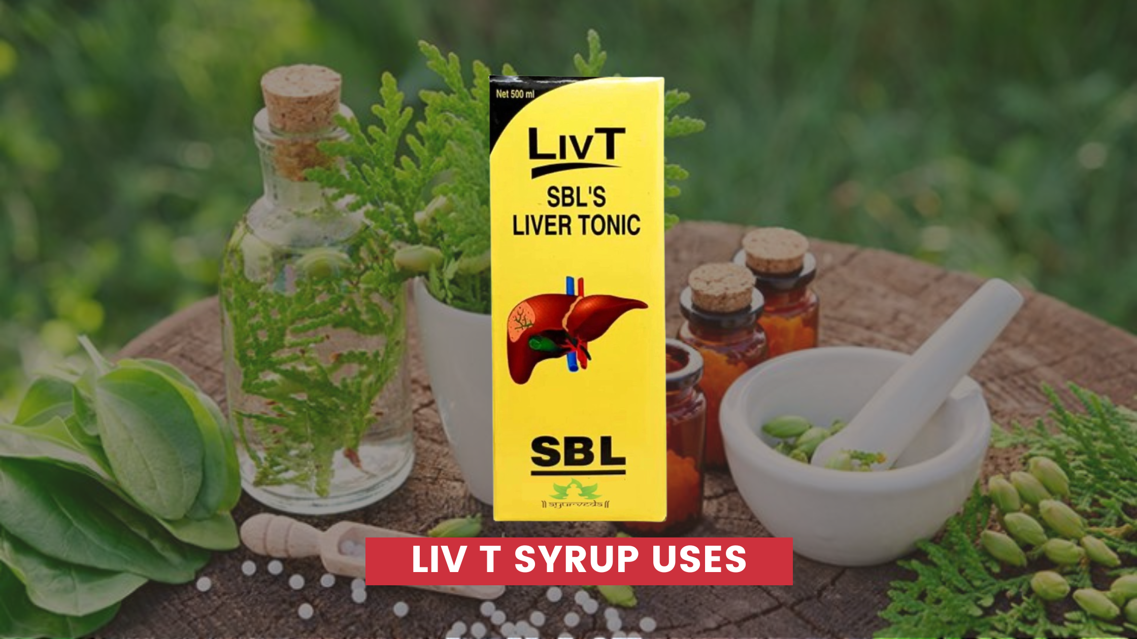 Liv T Syrup Uses In Hindi