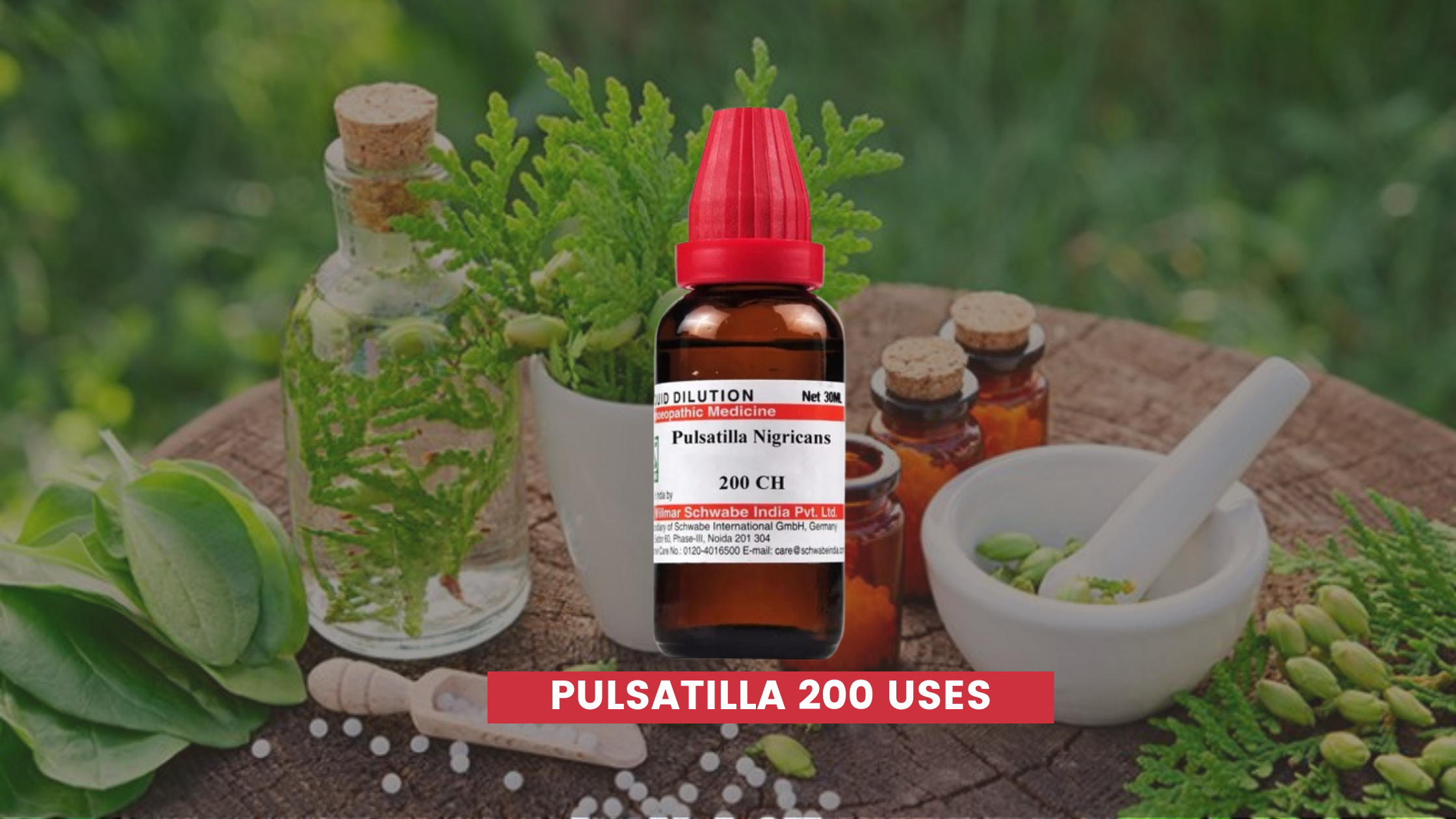 Pulsatilla 200 Uses In Hindi