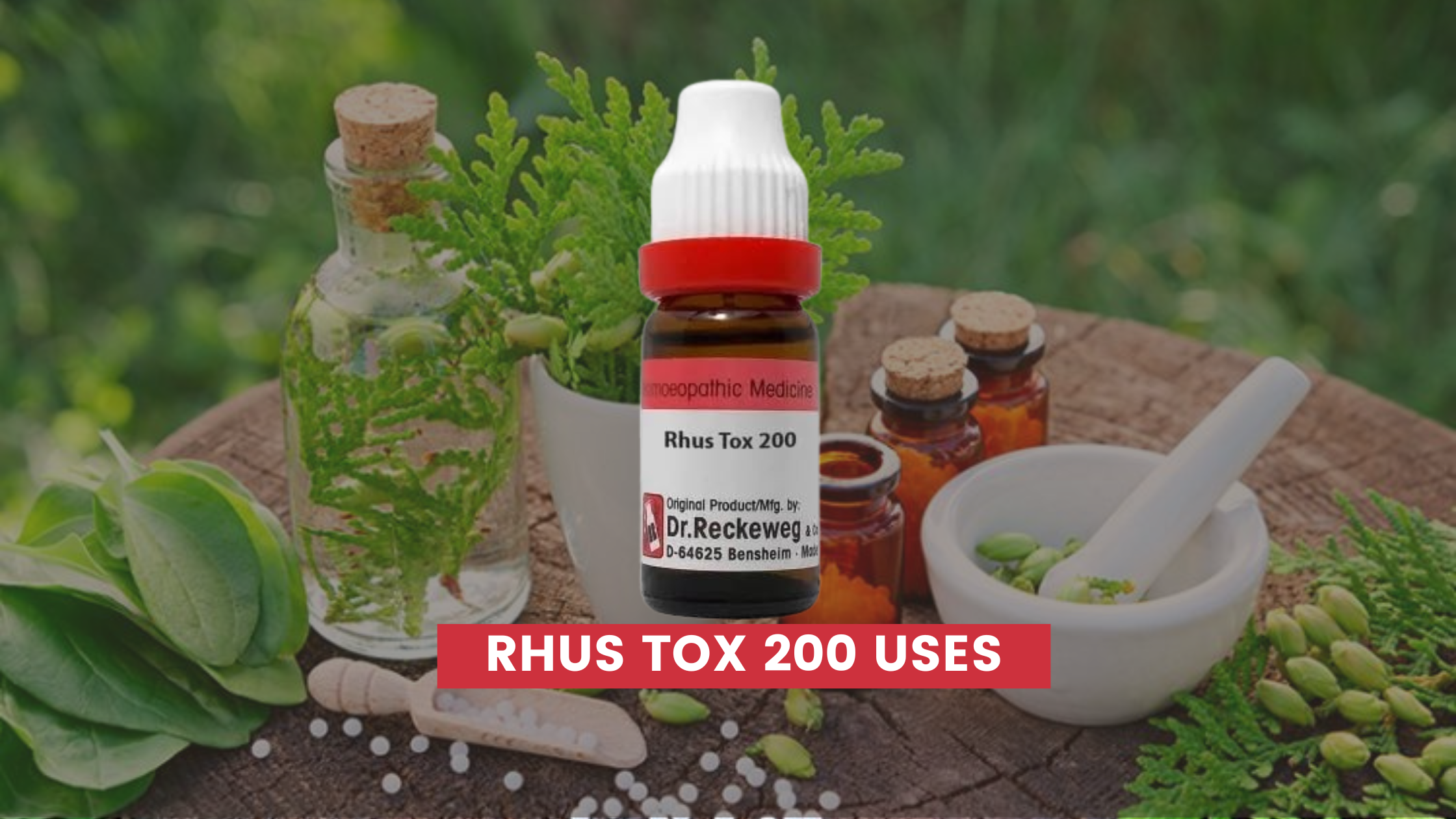 Rhus Tox 200 Uses In Hindi