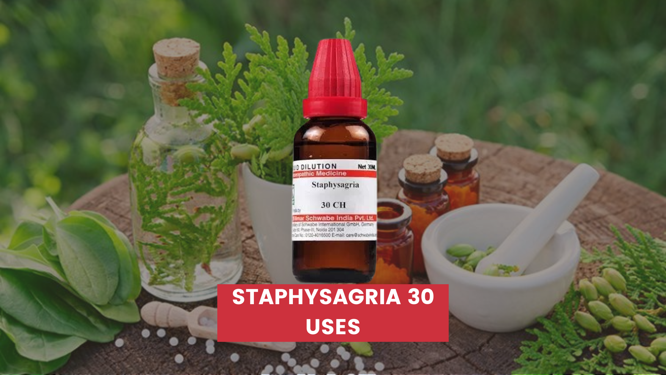 Staphysagria 30 Uses In Hindi