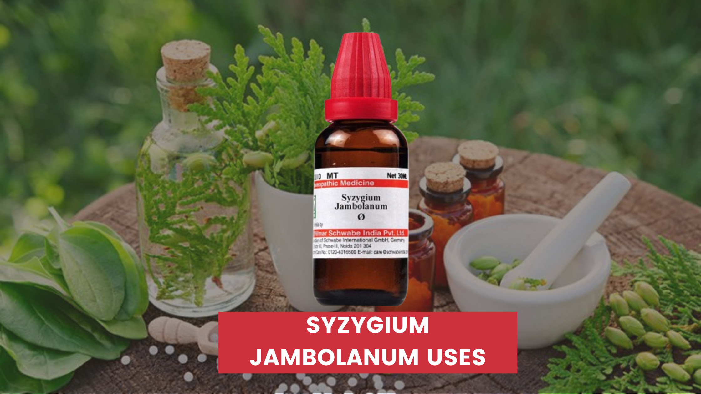 Syzygium Jambolanum Uses In Hindi