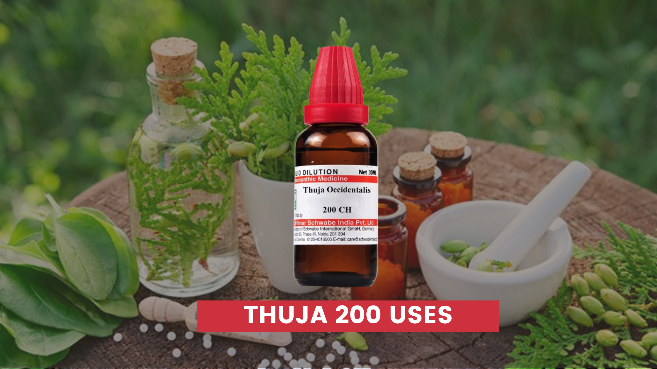 Thuja 200 Uses In Hindi