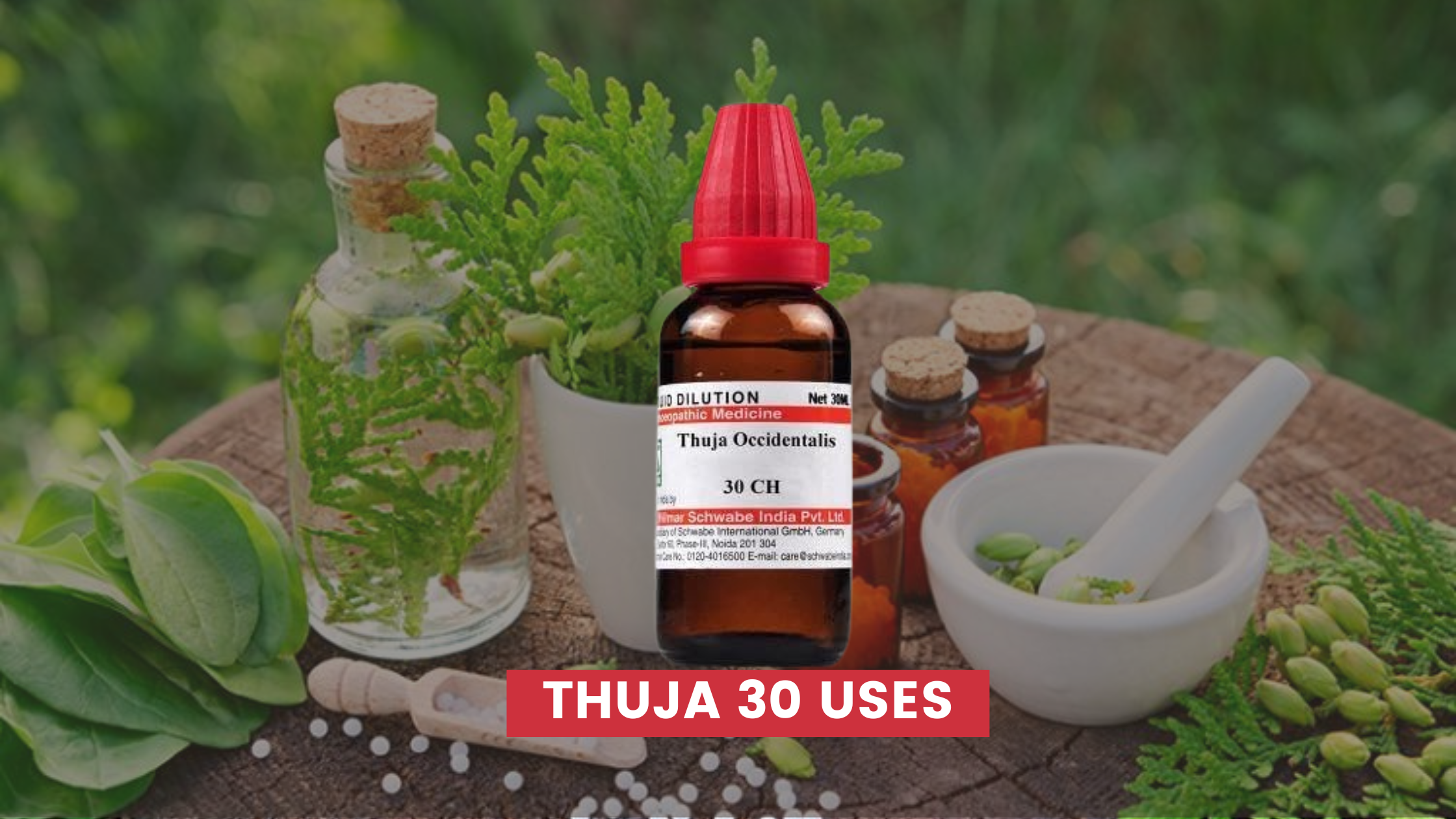 Thuja 30 Uses In Hindi