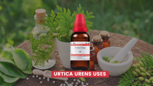 Urtica Urens Uses In Hindi
