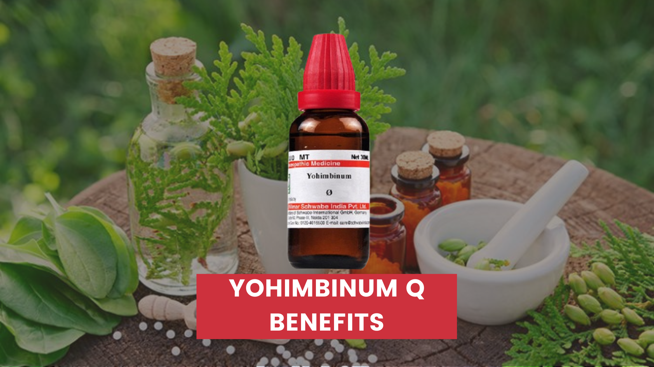 Yohimbinum Q Benefits In Hindi