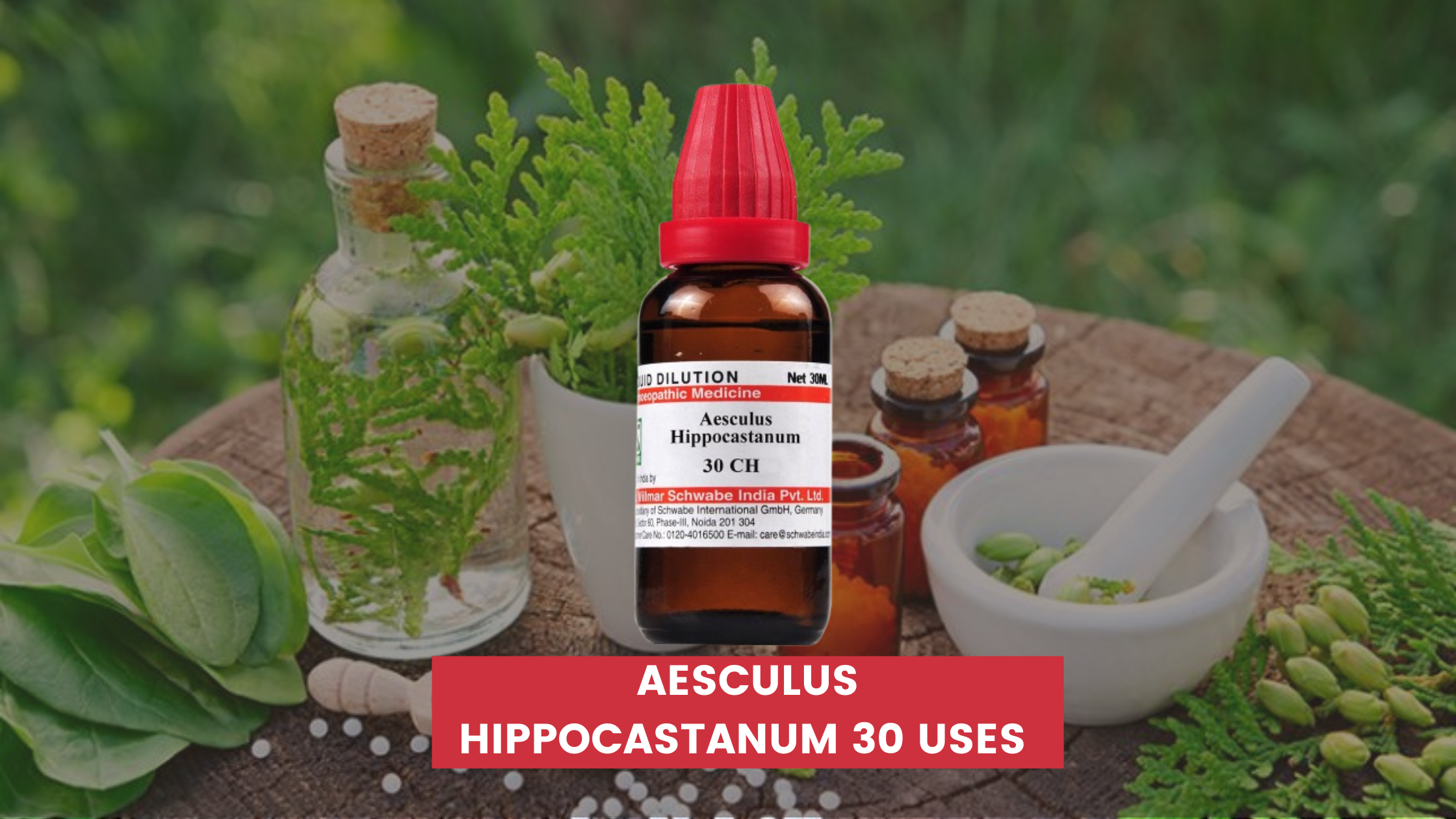 Aesculus Hippocastanum 30 Uses In Hindi