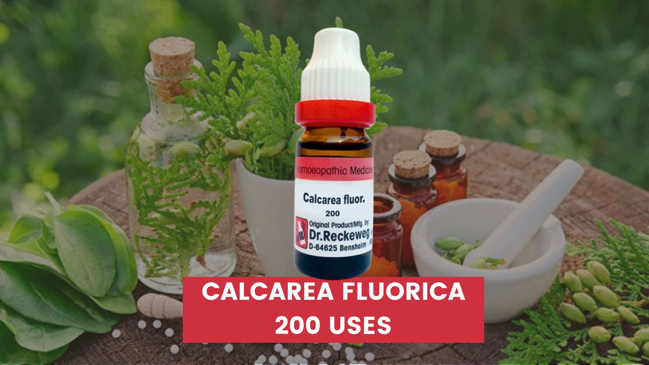 Calcarea Fluorica 200 Uses In Hindi