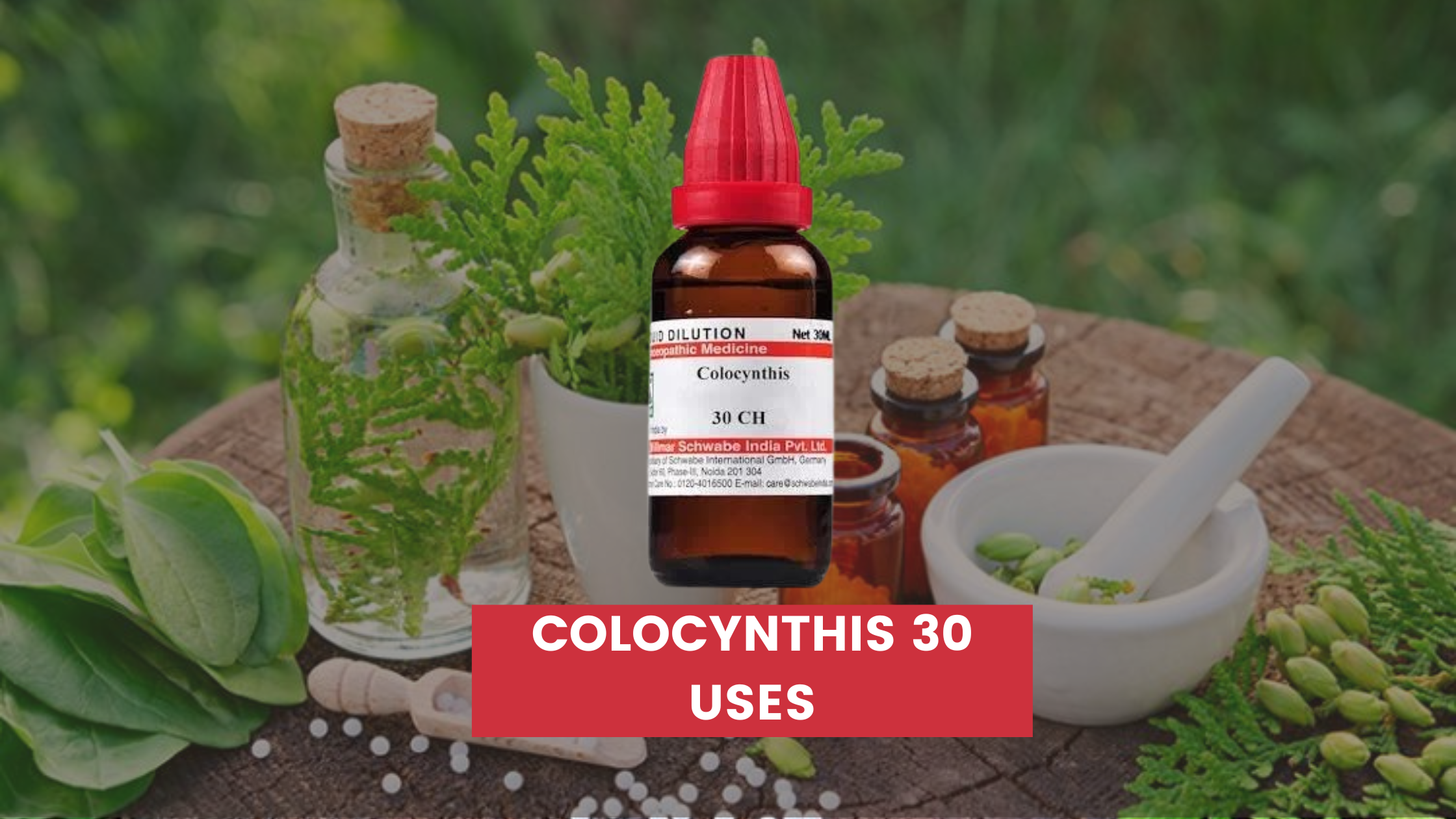 Colocynthis 30 Uses In Hindi