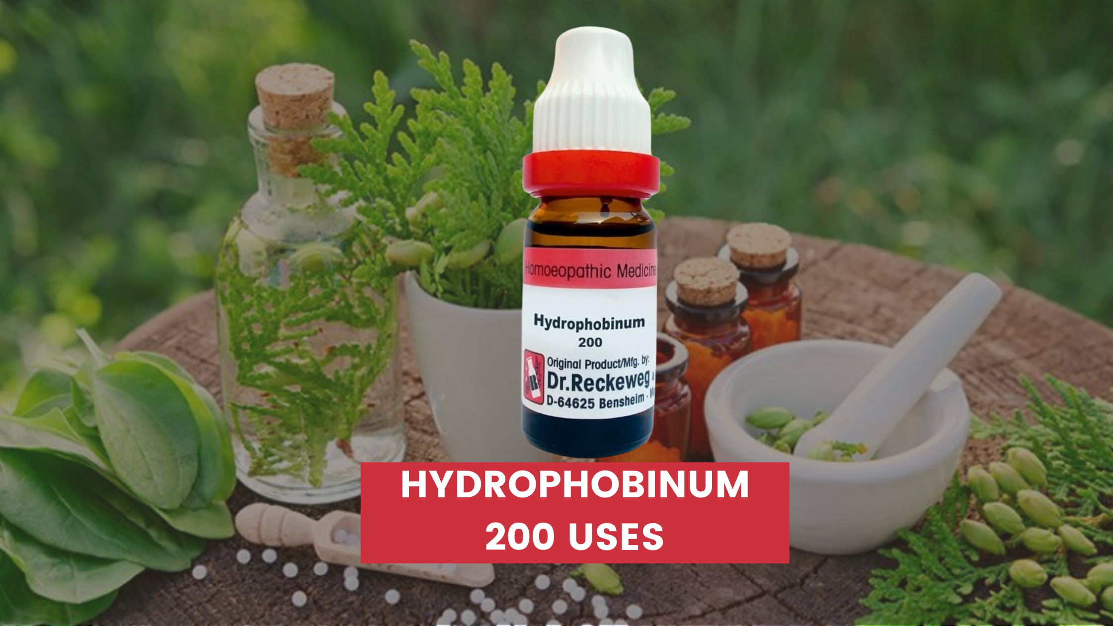 Hydrophobinum 200 Uses In Hindi