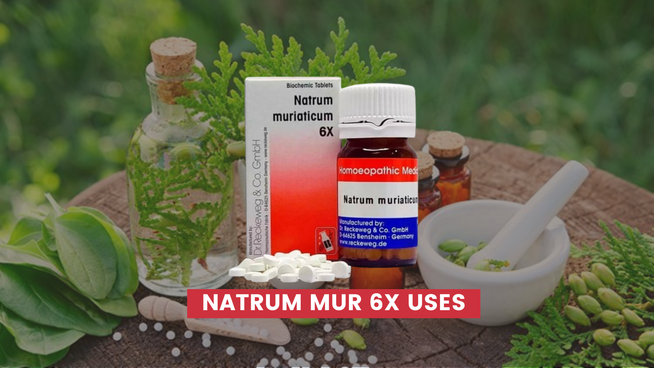 Natrum Mur 6x Uses In Hindi