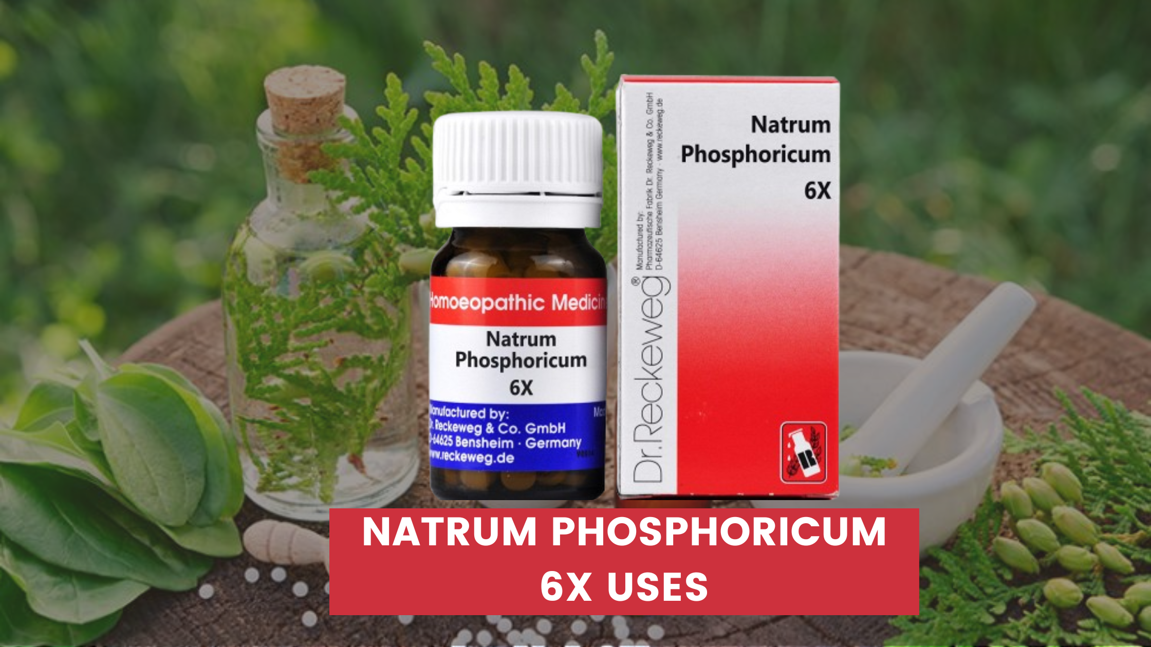 Natrum Phosphoricum 6x Uses In Hindi