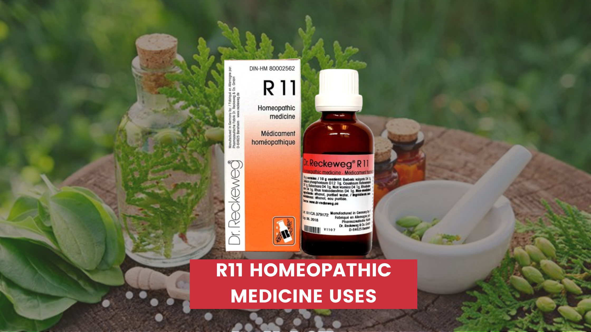 R11 Homeopathic Medicine Uses In Hindi