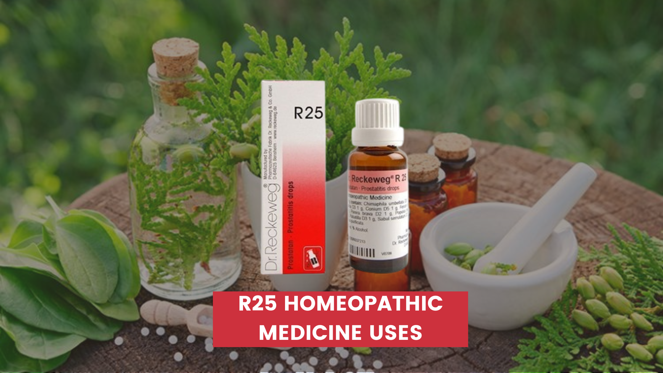 R25 Homeopathic Medicine Uses In Hindi