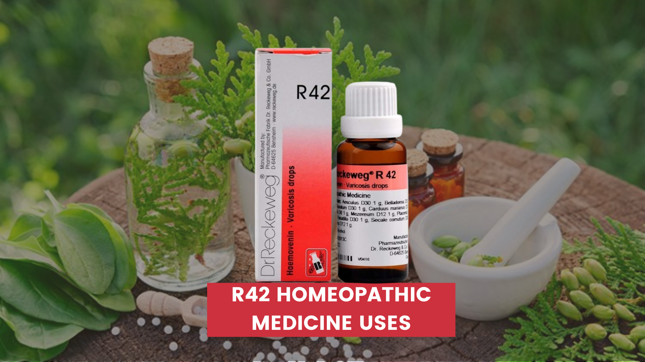 R42 Homeopathic Medicine Uses In Hindi