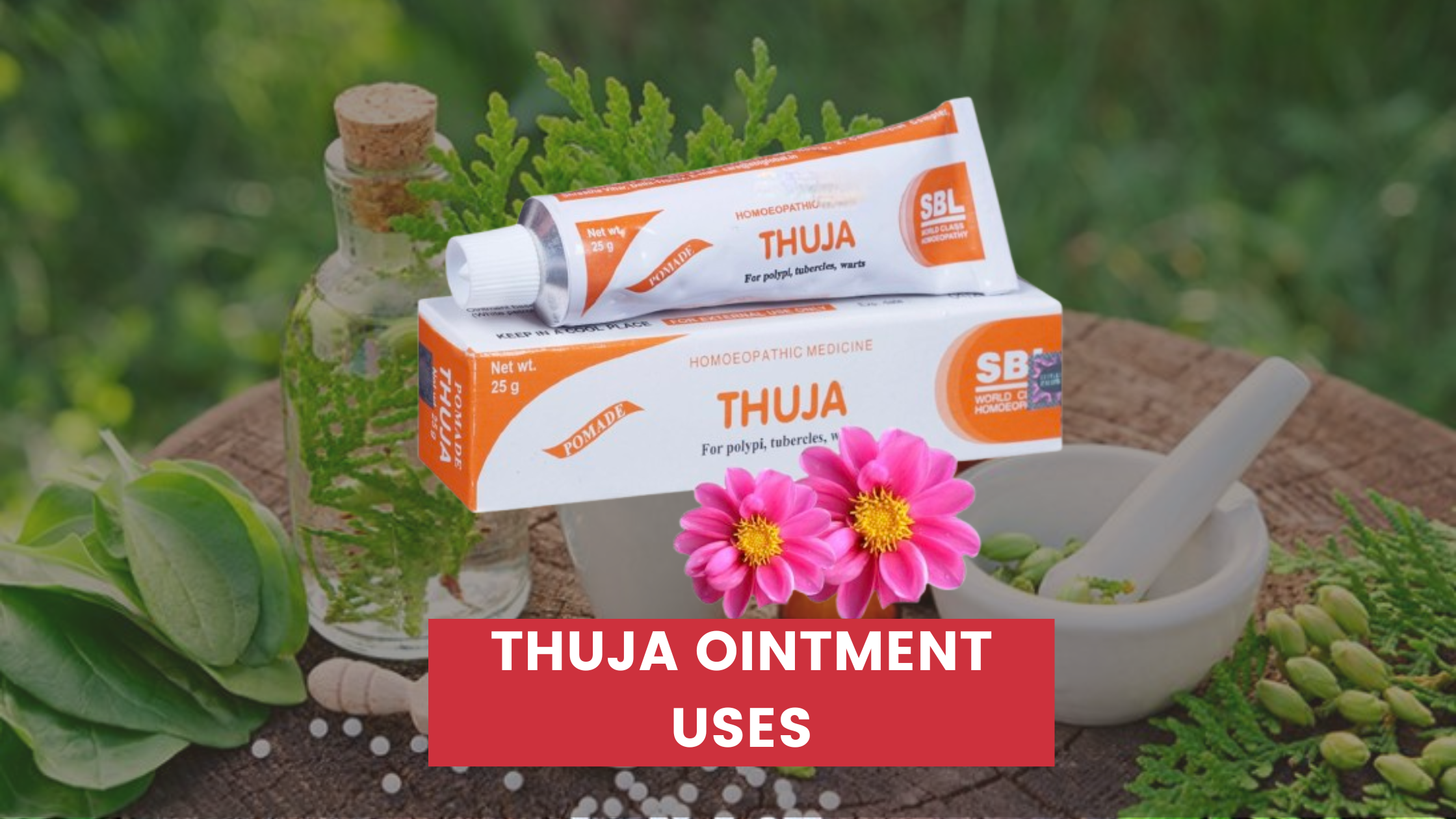 Thuja Ointment Uses In Hindi