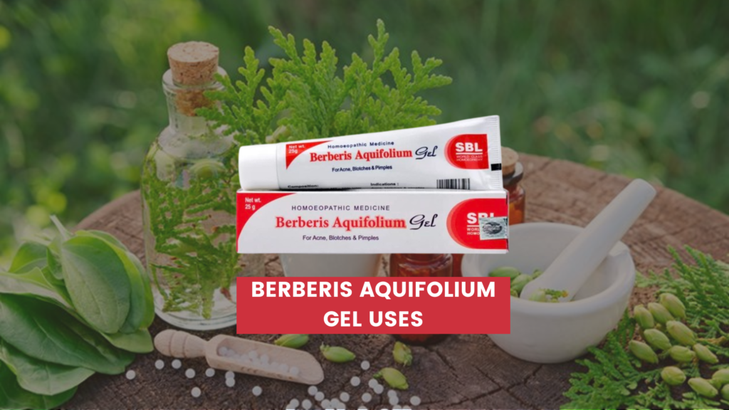 berberis aquifolium gel uses in hindi