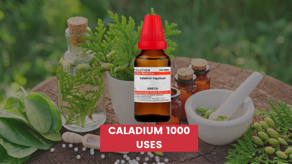 caladium 1000 uses in hindi