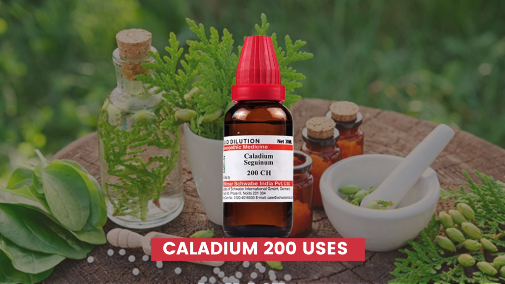 caladium 200 uses in hindi