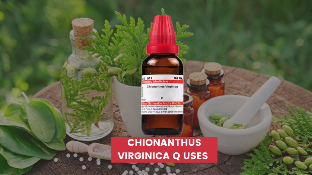 chionanthus virginica q uses in hindi