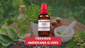 Fraxinus Americana Q Uses In Hindi