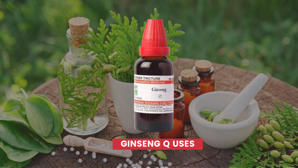 ginseng q uses in hindi
