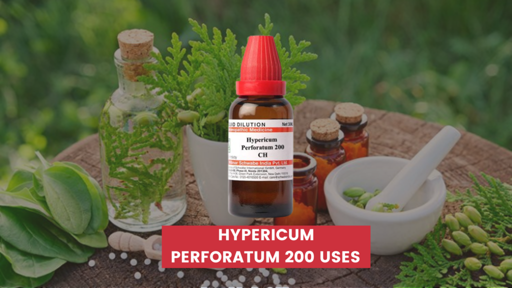 hypericum perforatum 200 uses in hindi