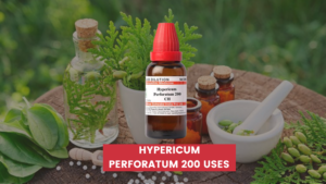 Hypericum Perforatum 200 Uses In Hindi
