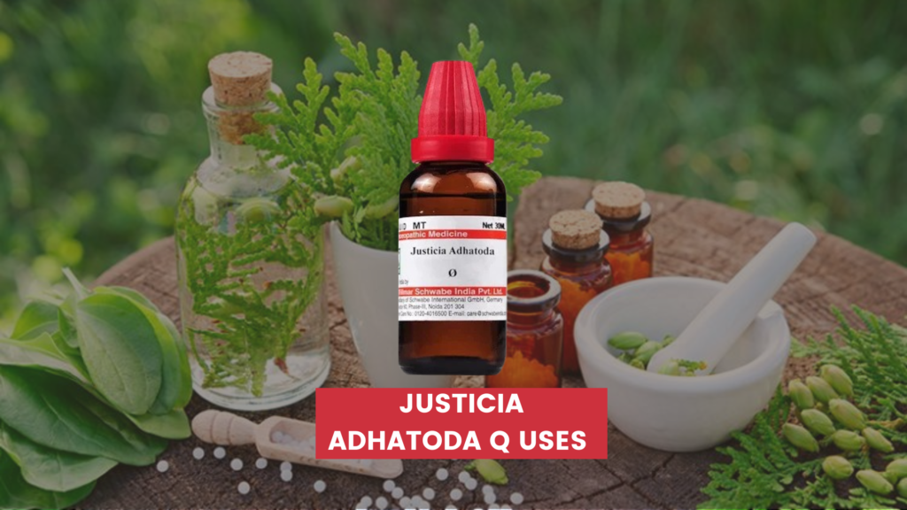 justicia adhatoda q uses in hindi