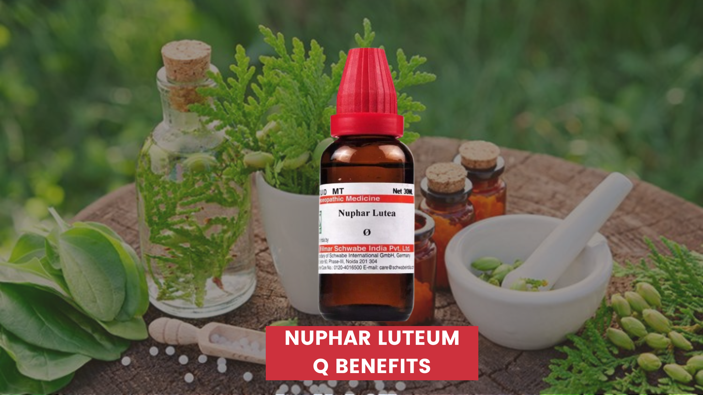 nuphar luteum q benefits in hindi