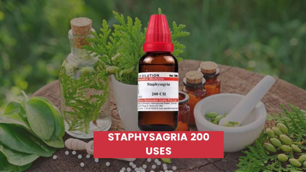 staphysagria 200 uses in hindi