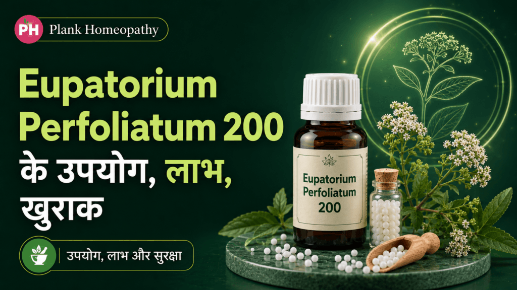 Eupatorium Perfoliatum 200 के उपयोग, लाभ, खुराक