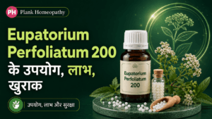 Eupatorium Perfoliatum 200 के उपयोग, लाभ, खुराक