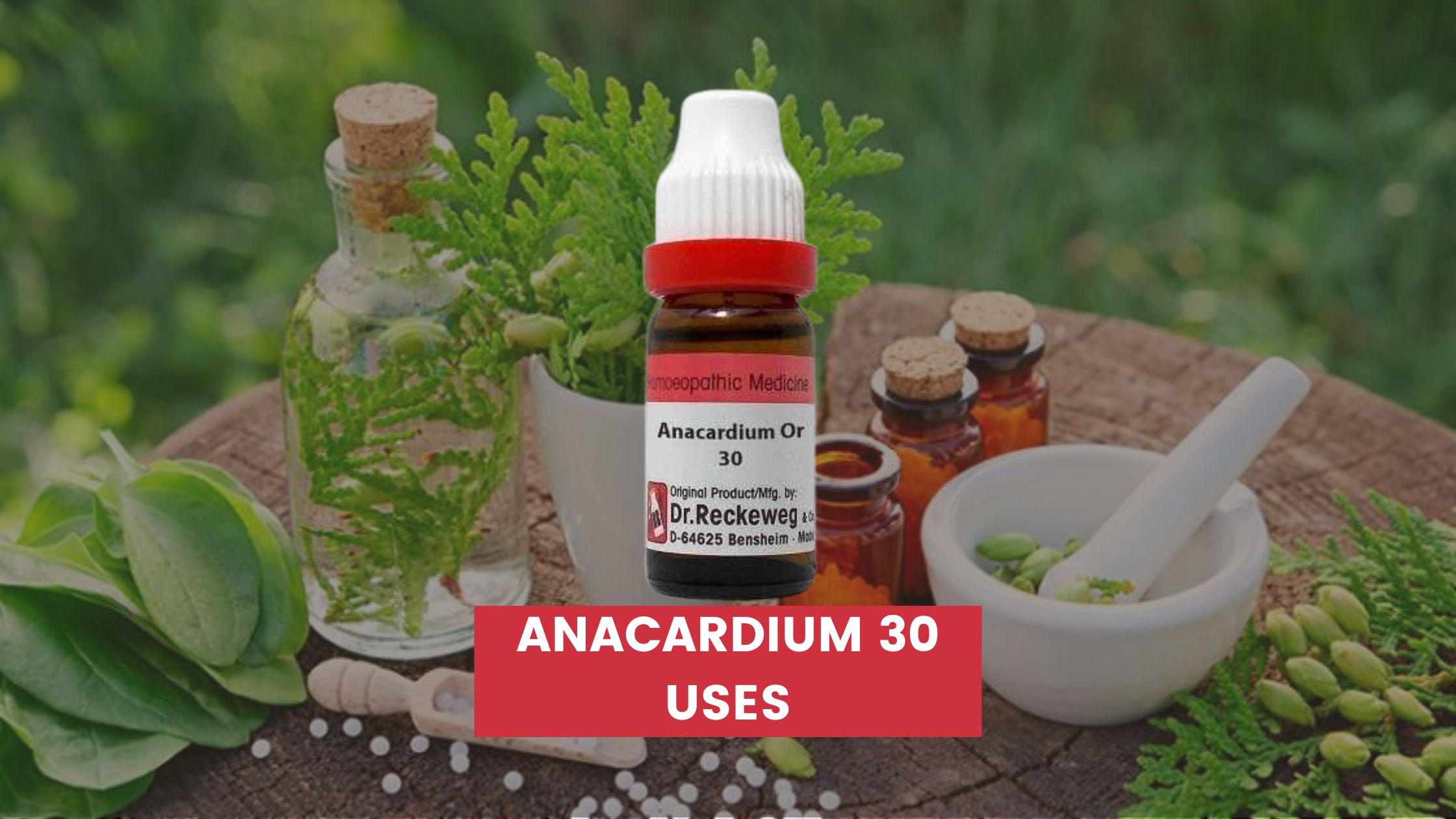 anacardium 30 uses in hindi