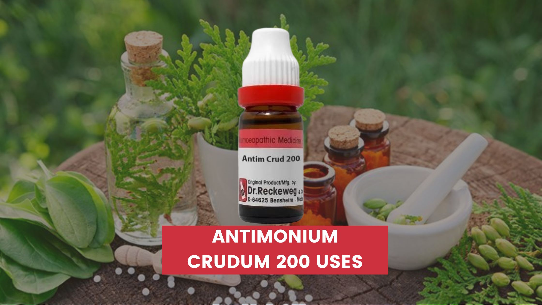 antimonium crudum 200 uses in hindi