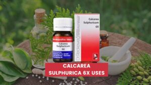 Calcarea Sulphurica 6x Uses In Hindi