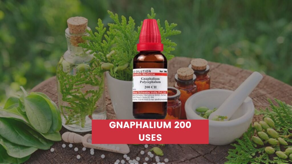 gnaphalium 200 uses in hindi