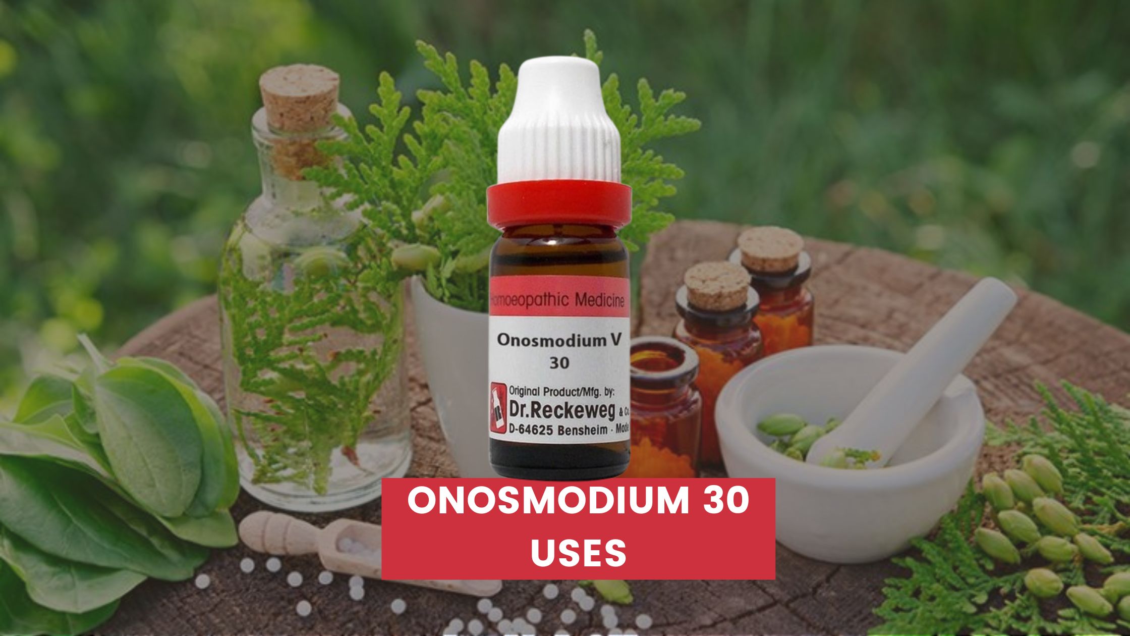 onosmodium 30 uses in hindi