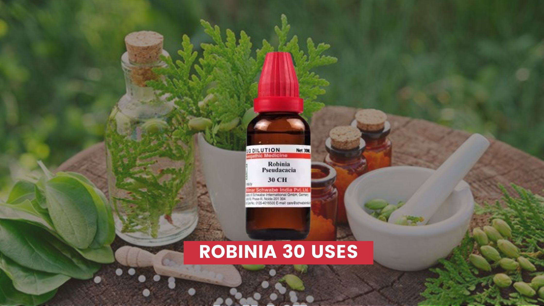 robinia 30 uses in hindi