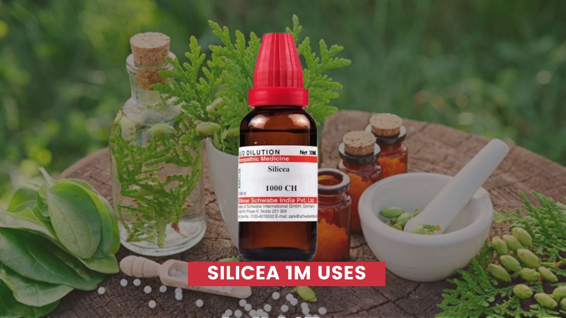 silicea 1m uses in hindi